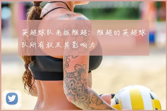 英超球队老板维超：维超的英超球队所有权及其影响力