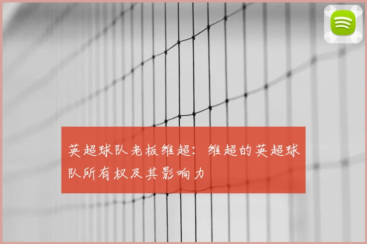 英超球队老板维超:维超的英超球队所有权及其影响力