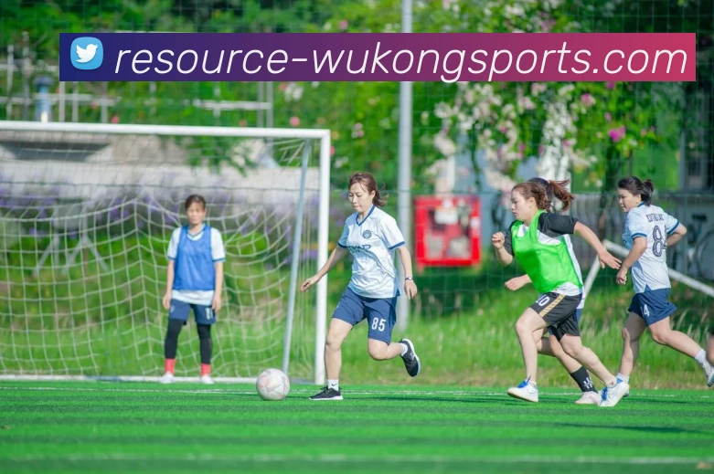 悟空体育发展历程